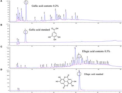 Chestnut inner shell extract inhibits viral entry of porcine epidemic diarrhea virus and other <mark class="highlighted">coronavirus</mark>es in vitro